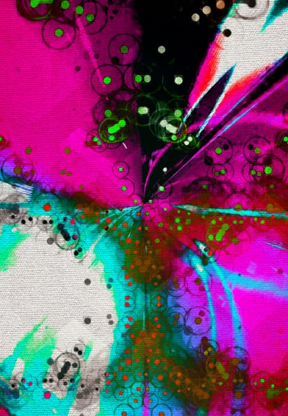 Warp Experiement Project (38)